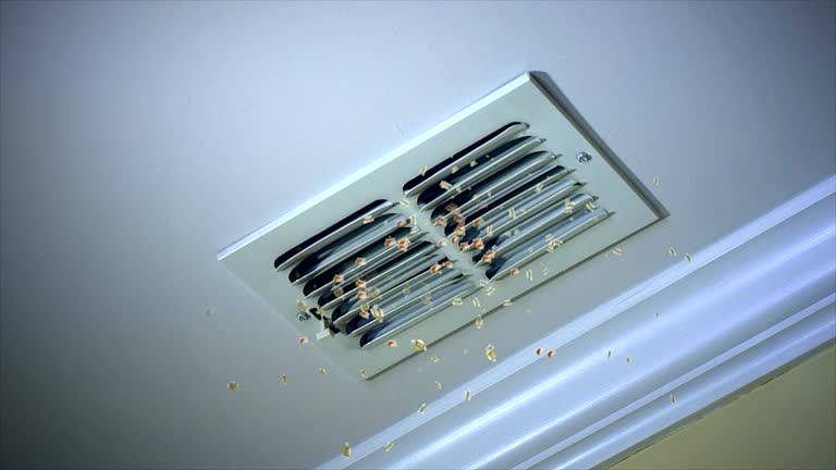 Best Dryer Vent Cleaning Services  in Tn Lakes, WI